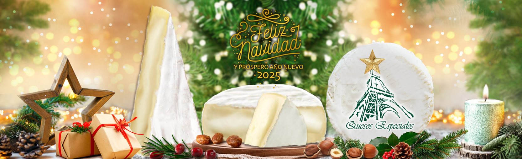 We wish you Merry Christmas and Prosperous New Year 2025!