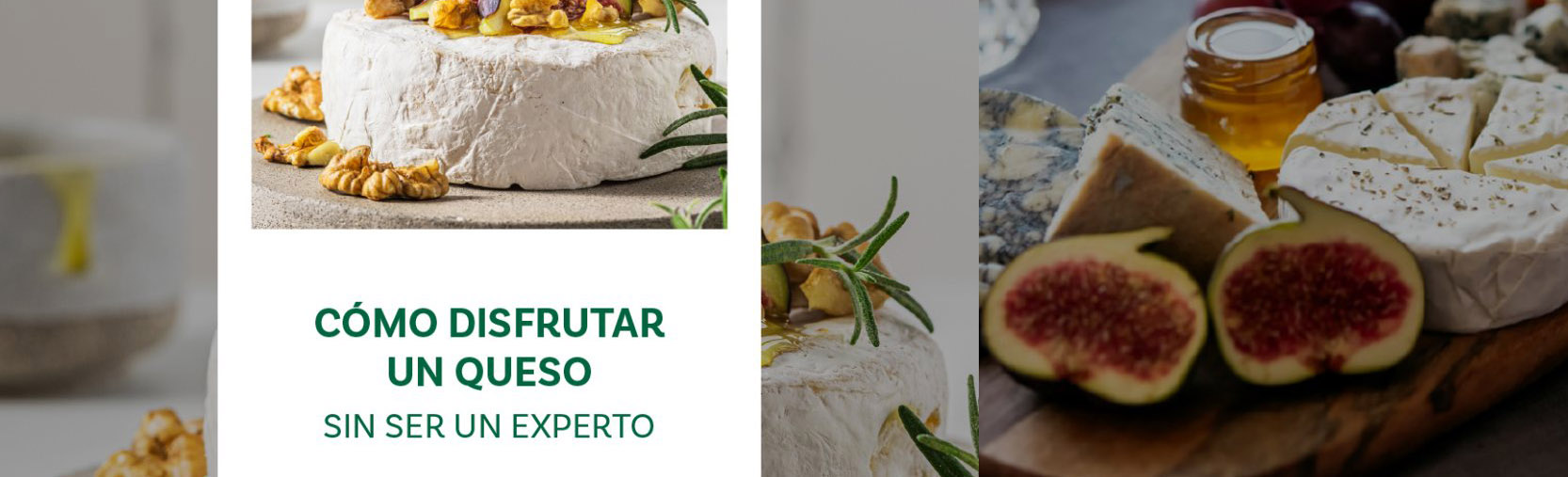 Cómo disfrutar de un queso sin ser un experto