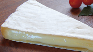 Queso Brie